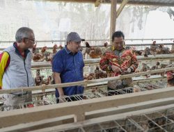 Dinas Peternakan dan Keswan Segera Terbentuk, Peternak Bersyukur dan Harap Pembinaan dari Pemerintah