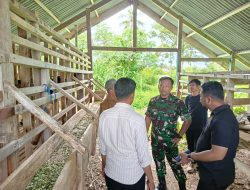 Dukung ASTA CITA Presiden Probowo, Dandim 1418/Mamuju Kolaborasi bersama BPHMT