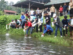 Forkopimda Bersama Warga Sebar Seratus Ribu Benih Ikan Nila di Kali Mamuju, Masyarakat Bisa Menangkapnya