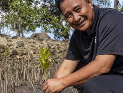 Pengaruh Pertanian dan Perikanan, Ekonomi Sulbar Triwulan 2024 Alami Pertumbuhan Pesat, Pj Bahtiar Optimis Program Swasembeda nya