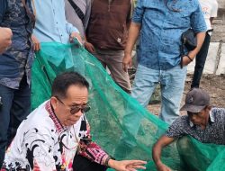 Tim Ahli Gubernur Sulbar Tinjau Transmigrasi Tanjung China, Dorong Pengembangan Tambak dan Pemberdayaan Ekonomi Pesisir