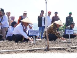 Gubernur Sulbar dan Mentan Amran Komitmen Kembangkan Bawang Merah di Majene