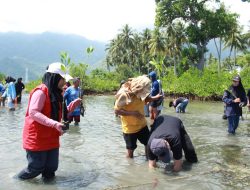 Peringati Hari Mangrove Sedunia KKN Unhas di Desa Sendana Tanam Mangrove