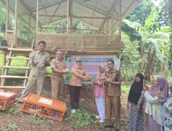 Distapang Sulbar Salurkan Bantuan Ayam KUB dan Sarana Pendukung di Kelurahan Bebanga