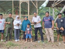 Distapang Sulbar Kembali Menyalurkan Bantuan Ayam KUB dan Sarana Pendukung di Desa Lebani