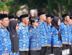4.179 PPPK Paruh Waktu Sulbar Terima SK, Gubernur SDK: Tinggal Menunggu Jadi ASN